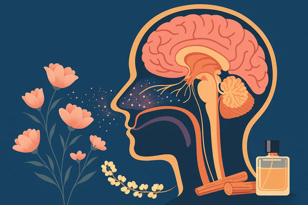 The Psychology of Scent: Why Smells Mean So Much